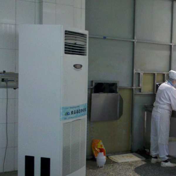 吐鲁番食品正负离子空气杀菌器